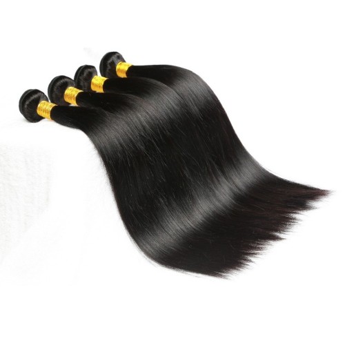 Fashion Straight Human Hair Bundles With Closure For Women SLDBC-01