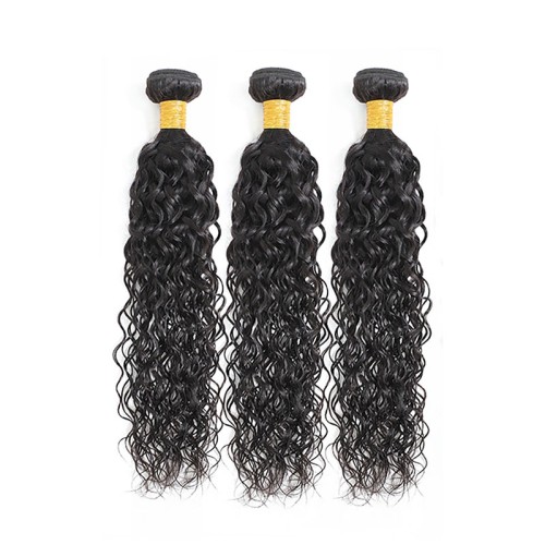 Fashion Water Wave Human Hair Bundles With Closure For Women SLDBC-05