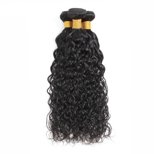 Fashion Water Wave Human Hair Bundles With Closure For Women SLDBC-05