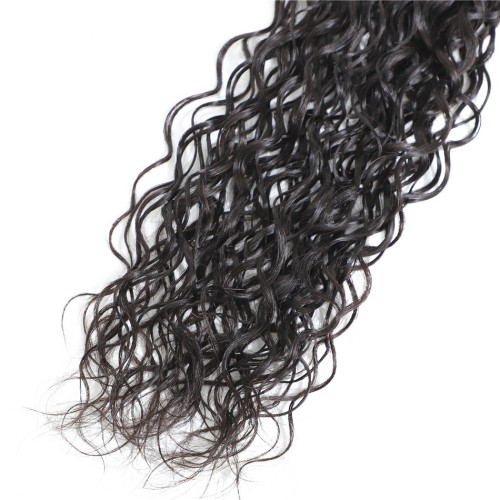 Fashion Water Wave Human Hair Bundles With Closure For Women SLDBC-05