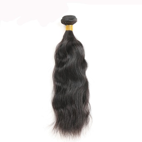 Fashion Natural Wave Human Hair Bundles With Closure For Women SLDBC-06