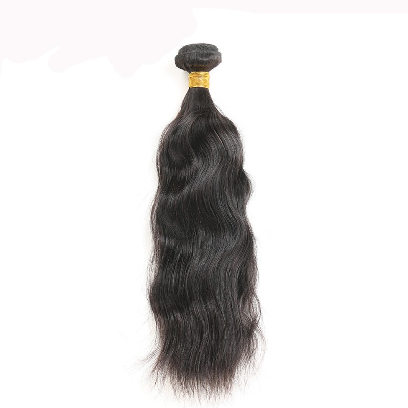 Fashion Natural Wave Human Hair Bundles With Closure For Women SLDBC-06 