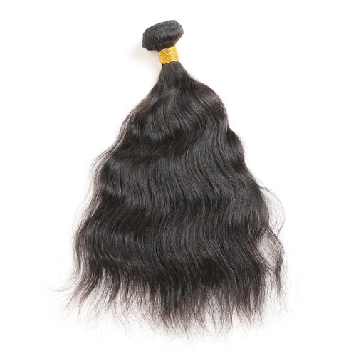 Fashion Natural Wave Human Hair Bundles With Closure For Women SLDBC-06