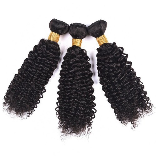 Fashion Jerry Curly Human Hair Bundles With Closure For Women SLDBC-07