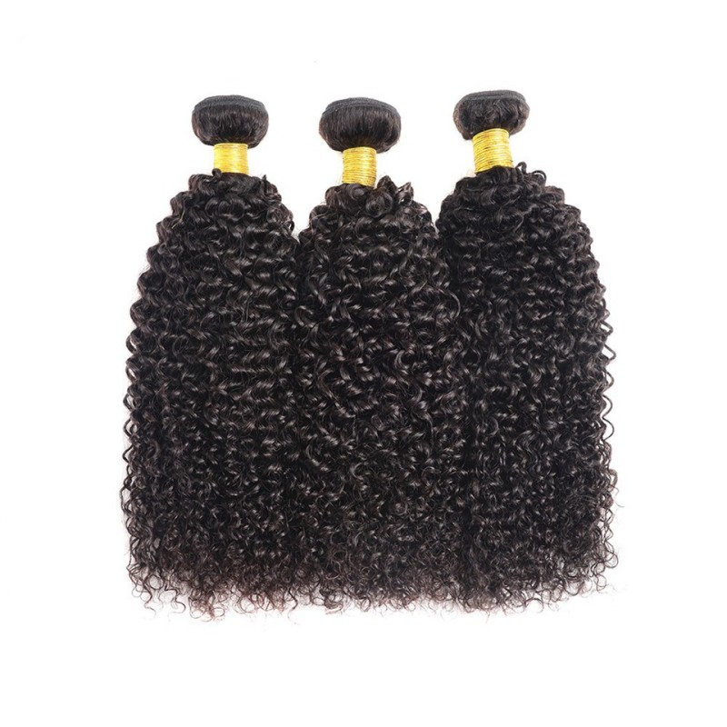 Fashion Kinky Curly Human Hair Bundles With Closure For Women SLDBC-08 