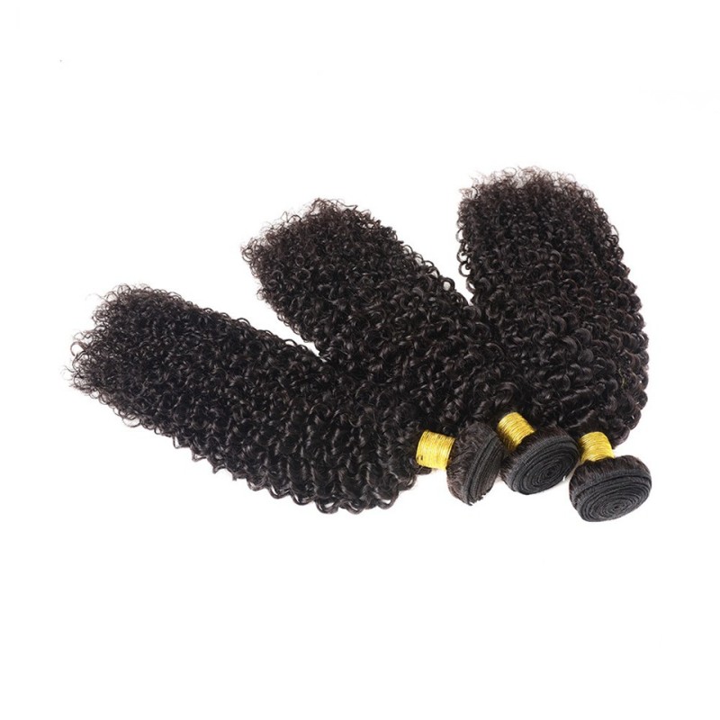 Fashion Kinky Curly Human Hair Bundles With Closure For Women SLDBC-08 