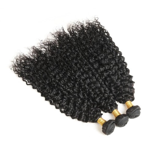Fashion Jerry Curly Human Hair Bundles For Women SLDHB-07
