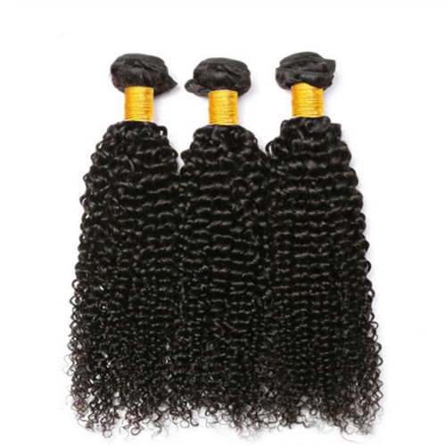 Fashion Kinky Curly Human Hair Bundles For Women SLDHB-08