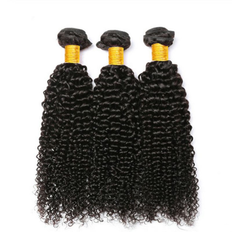 Fashion Kinky Curly Human Hair Bundles For Women SLDHB-08 