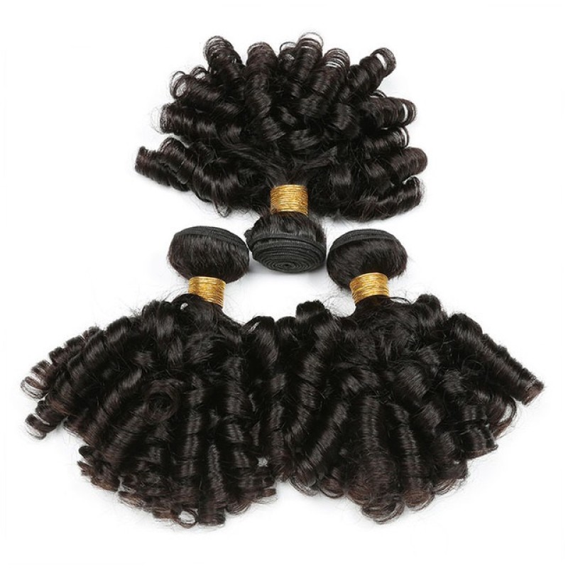 Fashion Funmi Curly Human Hair Bundles For Women SLDHB-10 