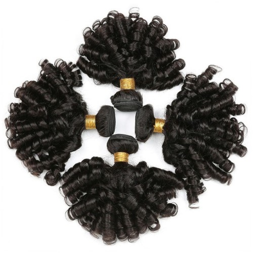 Fashion Funmi Curly Human Hair Bundles For Women SLDHB-10