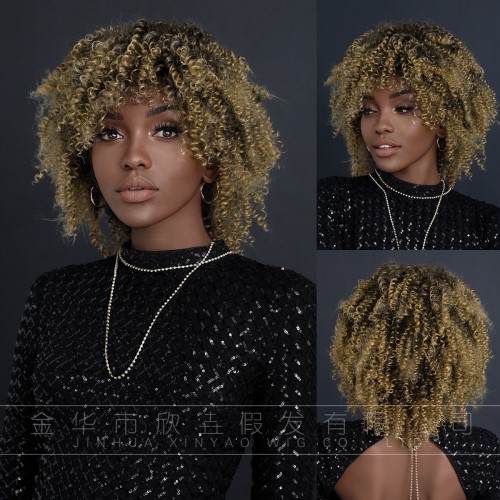 Fashion Short Synthetic Wigs For Women SLDSH-17