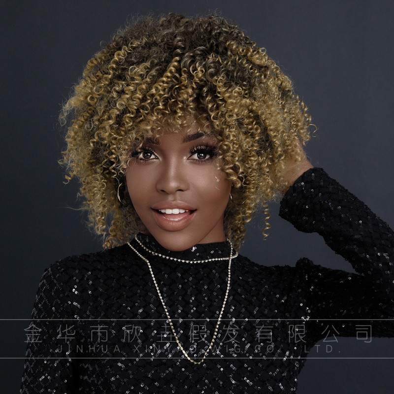 Fashion Short Synthetic Wigs For Women SLDSH-17 