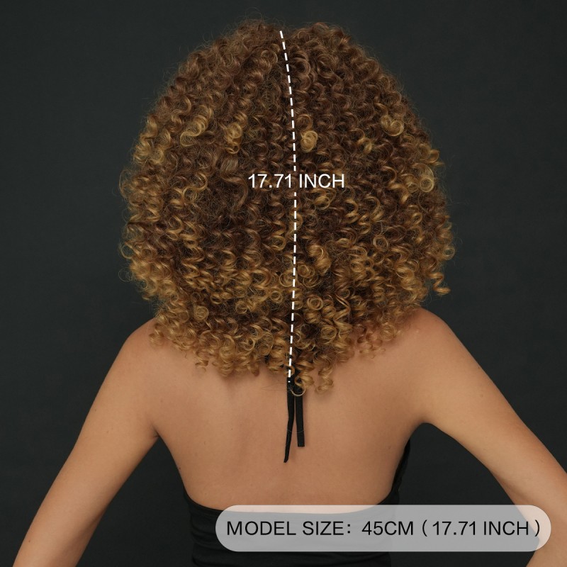 Fashion Short Synthetic Wigs For Women SLDSH-18 