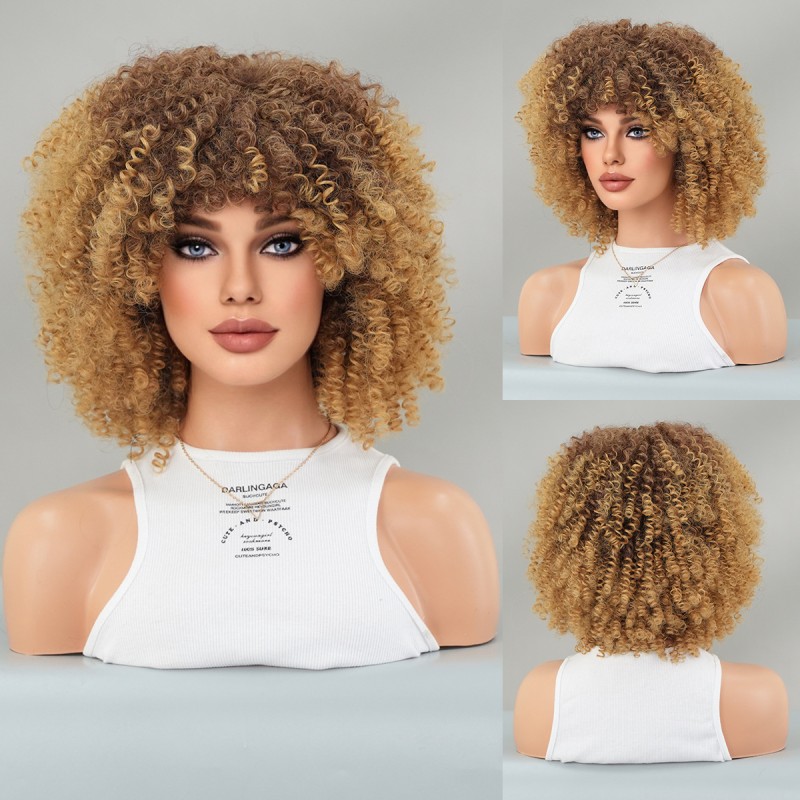 Fashion Short Synthetic Wigs For Women SLDSH-18 