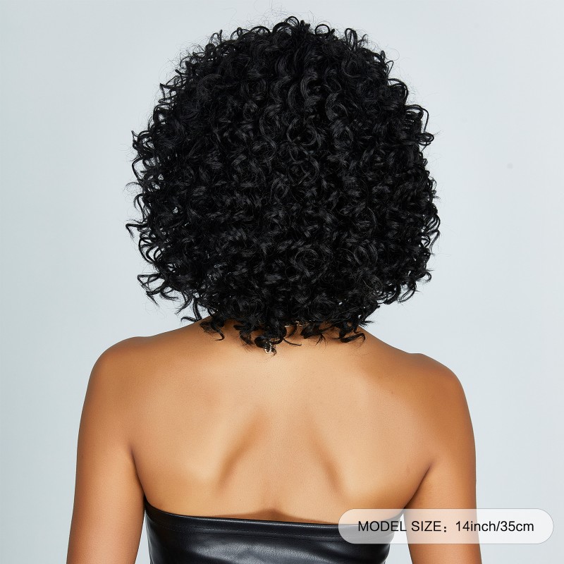 Fashion Short Synthetic Wigs For Women SLDSH-21 