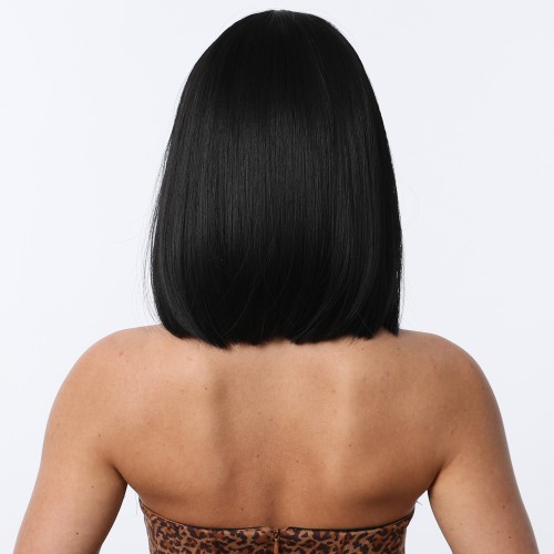Fashion Short Synthetic Wigs For Women SLDSH-25